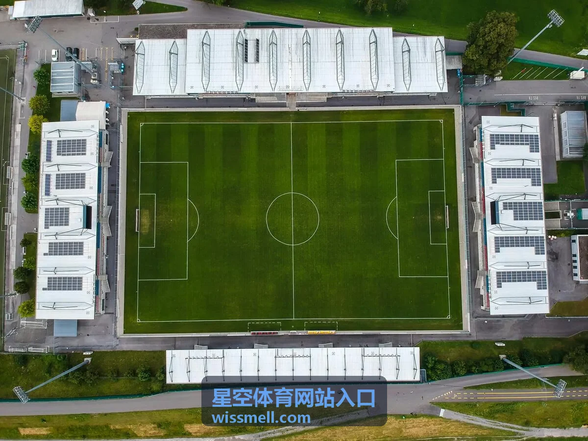 星空体育网站入口 足球焦点赛事直播