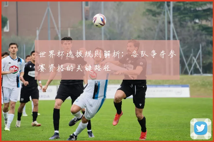 世界杯选拔规则解析：各队争夺参赛资格的关键路径