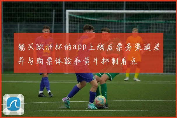 能买欧洲杯的app上线后票务渠道差异与购票体验和黄牛抑制看点
