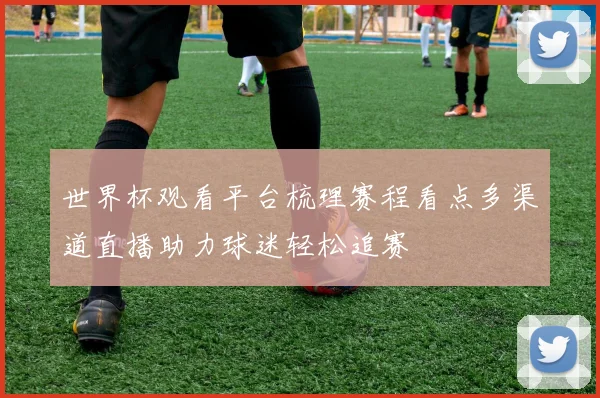 世界杯观看平台梳理赛程看点多渠道直播助力球迷轻松追赛