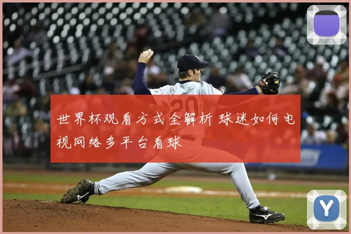 世界杯观看方式全解析 球迷如何电视网络多平台看球
