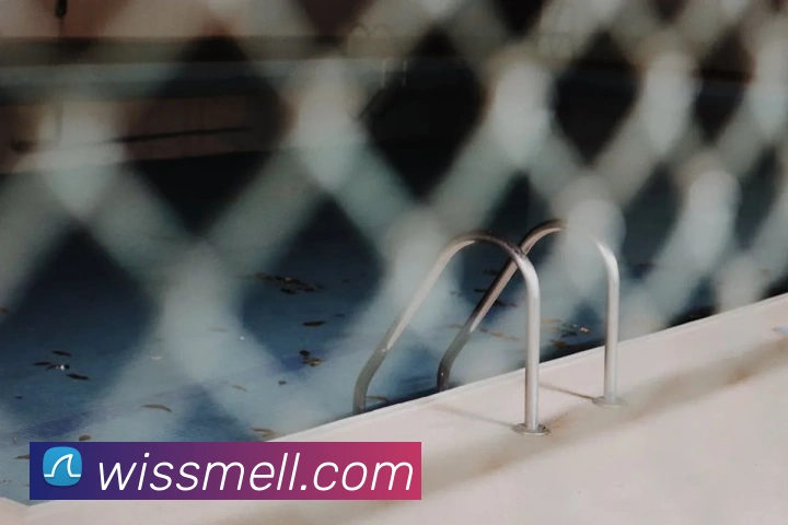 开云app平台登录入口服务体系