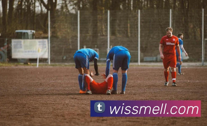 开云app平台登录入口APP 体育赛事宣传图